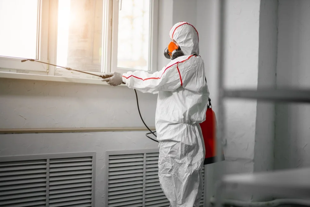 Professional mold remediation services in Hillsboro, OH